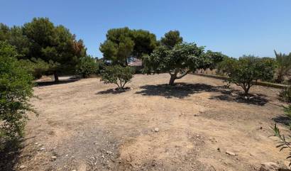 Venta - Country House - Torrellano