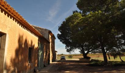 Venta - Country House - Yecla