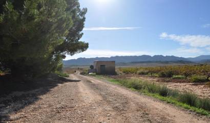 Venta - Country House - Yecla