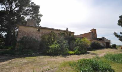 Venta - Country House - Yecla