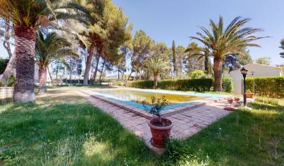 Venta - Country House - Yecla