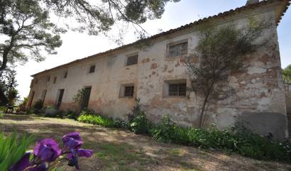 Venta - Country House - Yecla