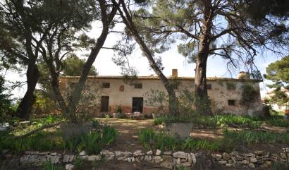 Venta - Country House - Yecla