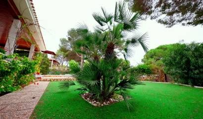 Venta -  - Dehesa de Campoamor - Dehesa de campoamor