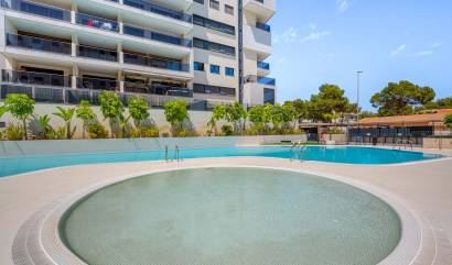 Venta -  - Dehesa De Campoamor - Dehesa de campoamor