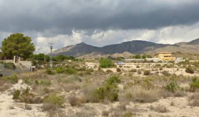 Venta - Land - Crevillente