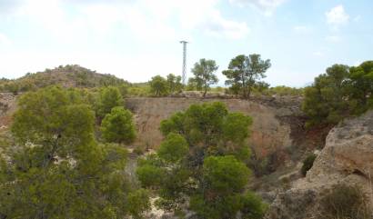 Venta - Land - Crevillente