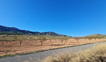 Venta - Land - La Romana