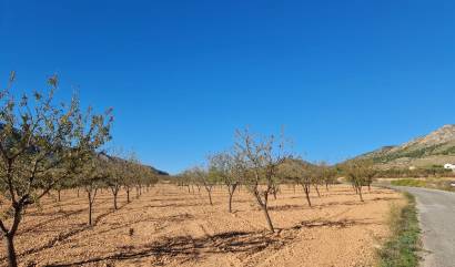 Venta - Land - La Romana