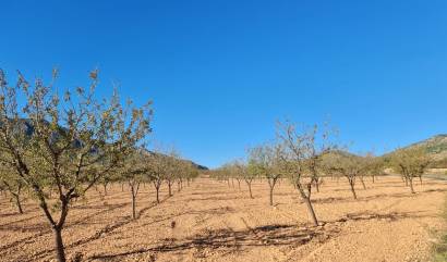 Venta - Land - La Romana