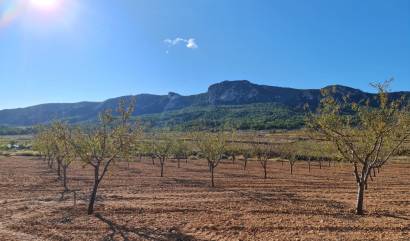 Venta - Land - La Romana