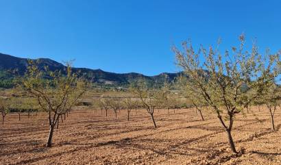 Venta - Land - La Romana