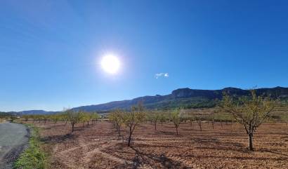 Venta - Land - La Romana