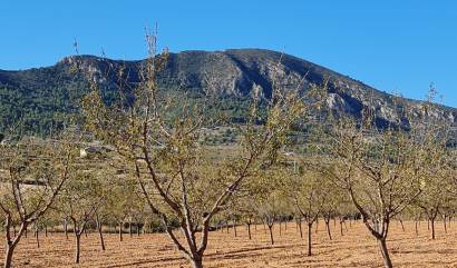 Venta - Land - La Romana