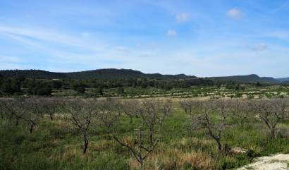 Venta - Land - San Miguel de Salinas - Torremendo