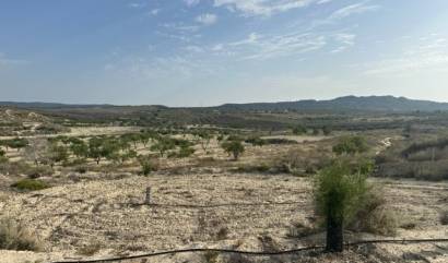 Venta - Land - Torremendo