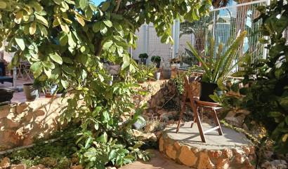 Venta -  - Los Montesinos - La Herrada