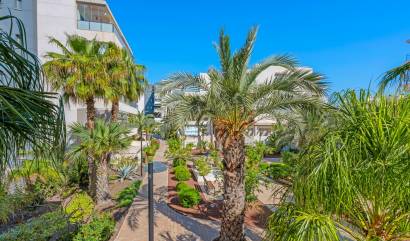 Venta -  - Orihuela Costa - Los Dolses