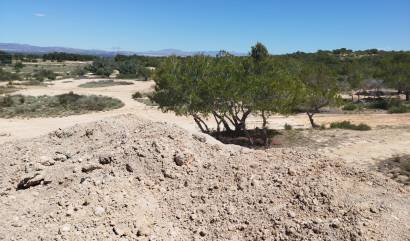 Venta -  - San Fulgencio - La Marina