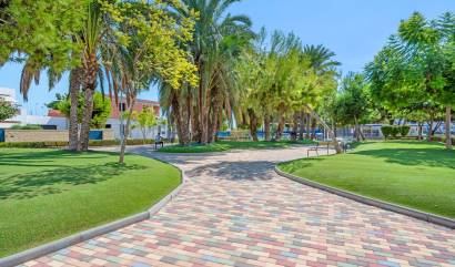 Venta -  - San Pedro del Pinatar - San Pedro del Pinatar Centro