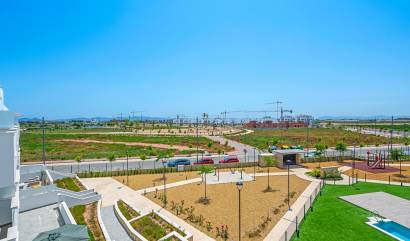 Venta -  - Torre Pacheco - Santa Rosalía