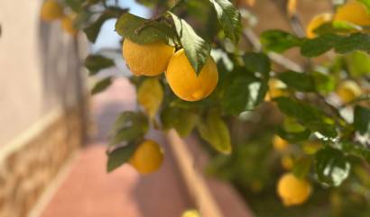 Venta - Villa - Algorfa - Lomas de Juliana