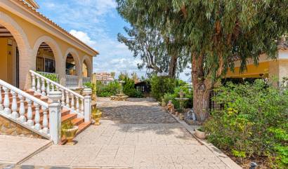 Venta - Villa - Jacarilla