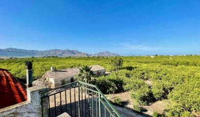 Venta - Villa - Orihuela