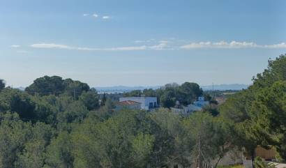Venta - Villa - Pinar de Campoverde