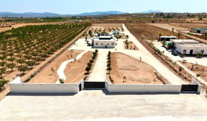 Venta - Villa - Pinoso