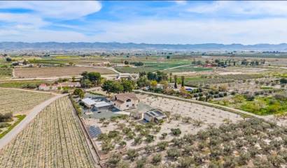 Venta - Villa - Puerto Lumbreras - Esparragal de Puerto Lumbreras