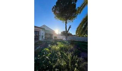 Venta - Villa - Torrevieja - Aguas Nuevas