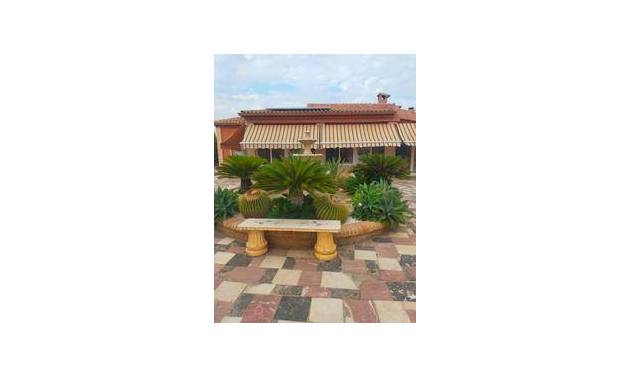 Villa - Bestaande woningen - Elche - Elche