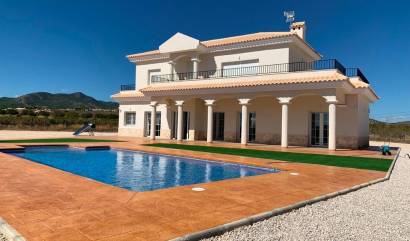 Villa - New Build - Pinoso - APRD-34088