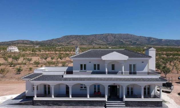 Villa - Nieuwbouw projecten - Pinoso - Camino Del Prado