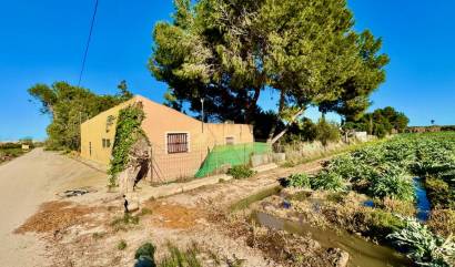Villa - Revente - Guardamar del Segura - Ham-40715
