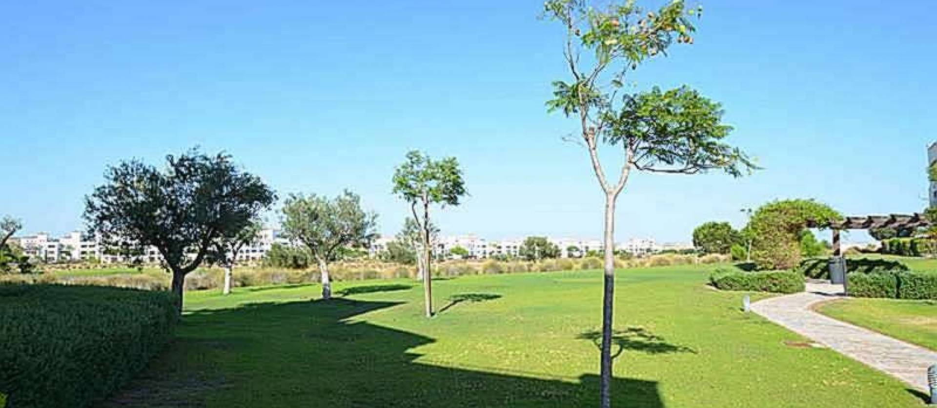 Venta - Apartment - Hacienda Riquelme Golf Resort