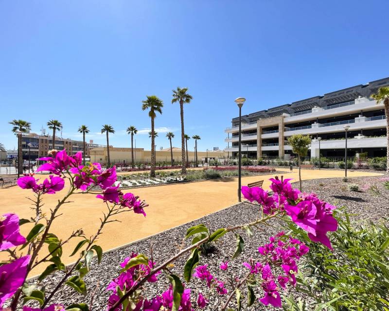 Nouvelle construction - Apartment - Orihuela - Playa Flamenca