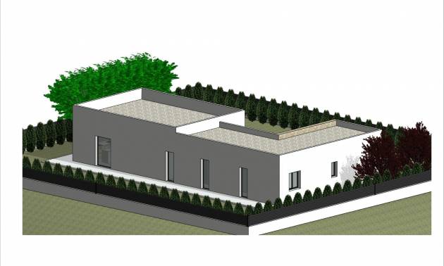 Nieuwbouw projecten - Villa - Pinoso - Lel