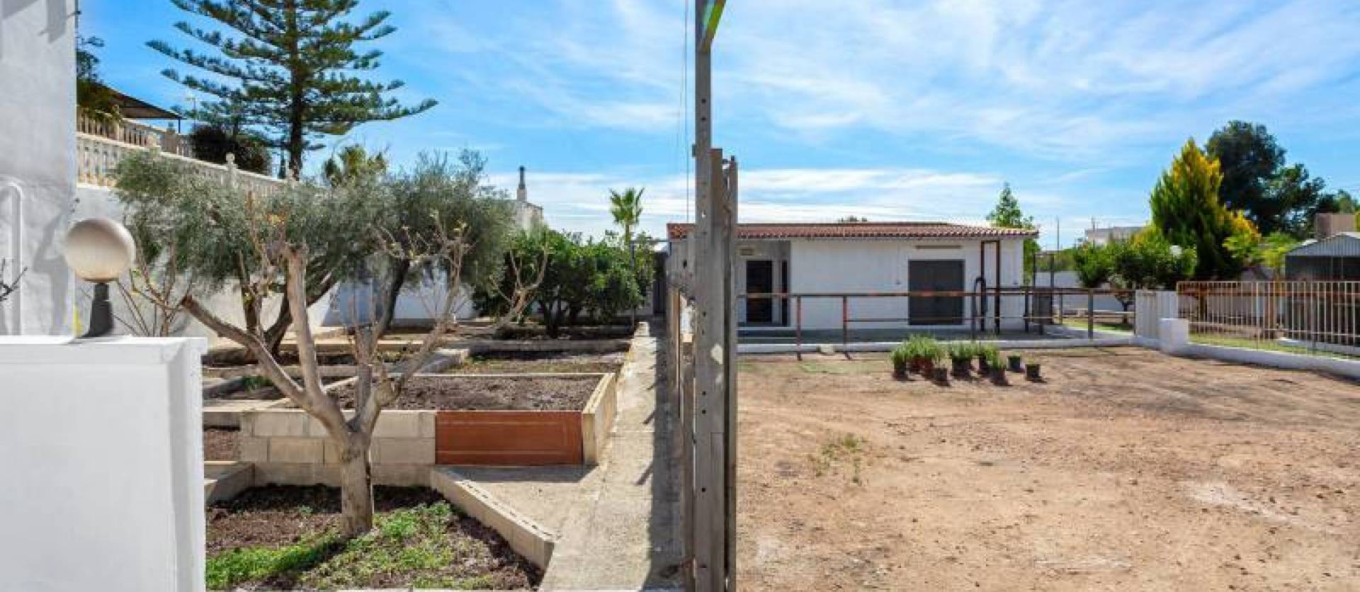 Bestaande woningen - Rustic property - Albatera - Albatera Campo