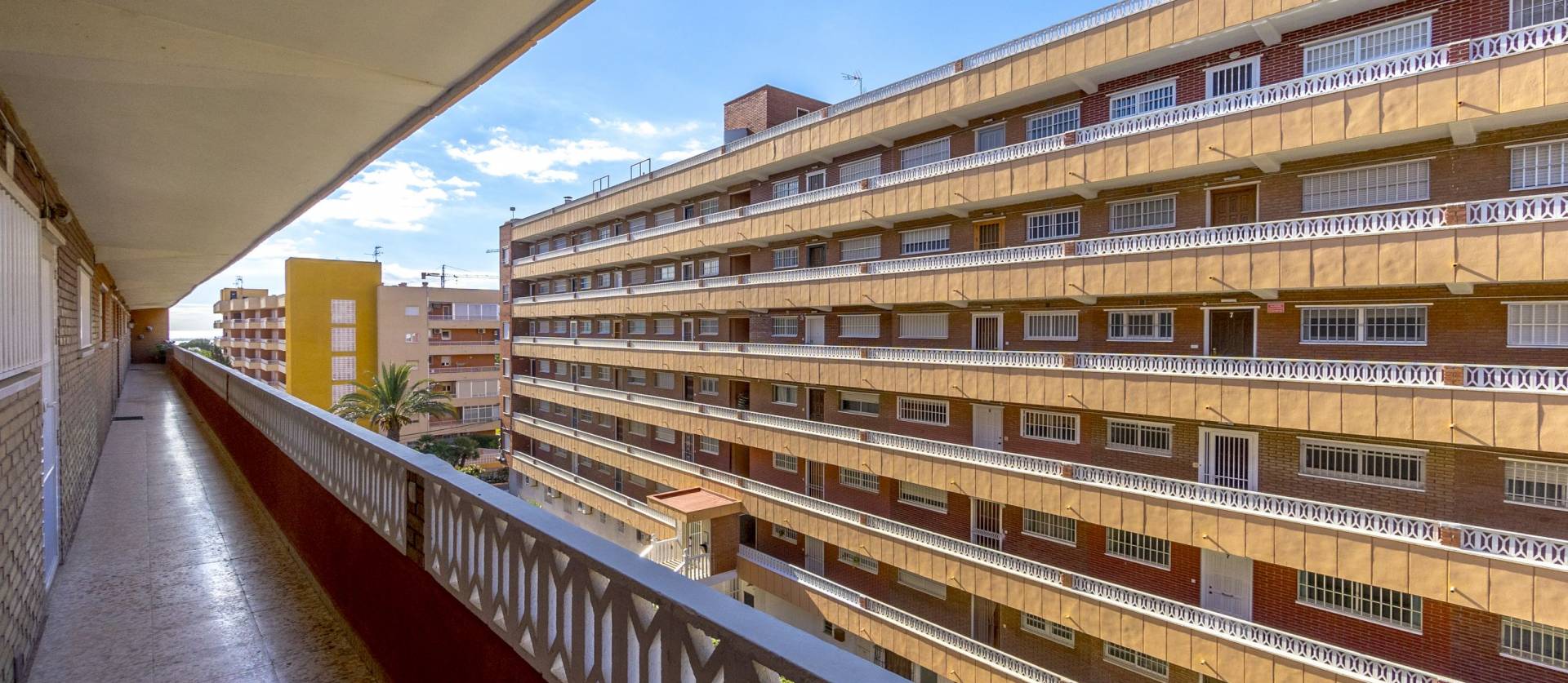 Sale - Apartment - Punta Prima