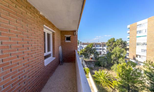 Sale - Apartment - Punta Prima