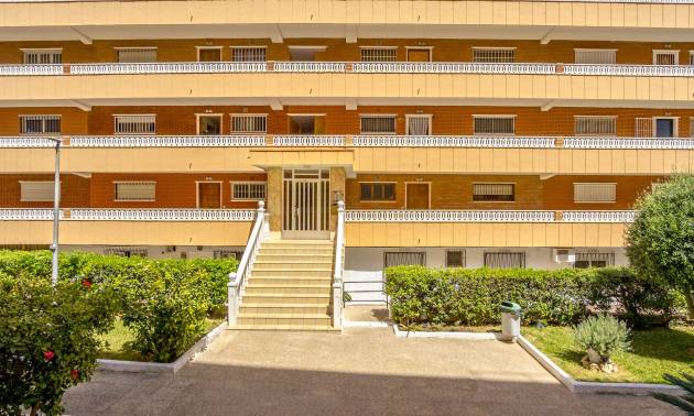 Sale - Apartment - Punta Prima