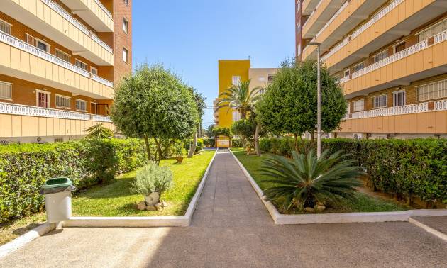 Sale - Apartment - Punta Prima