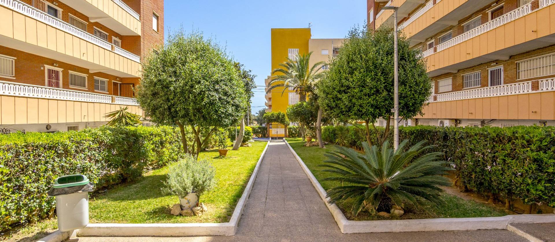 Sale - Apartment - Punta Prima