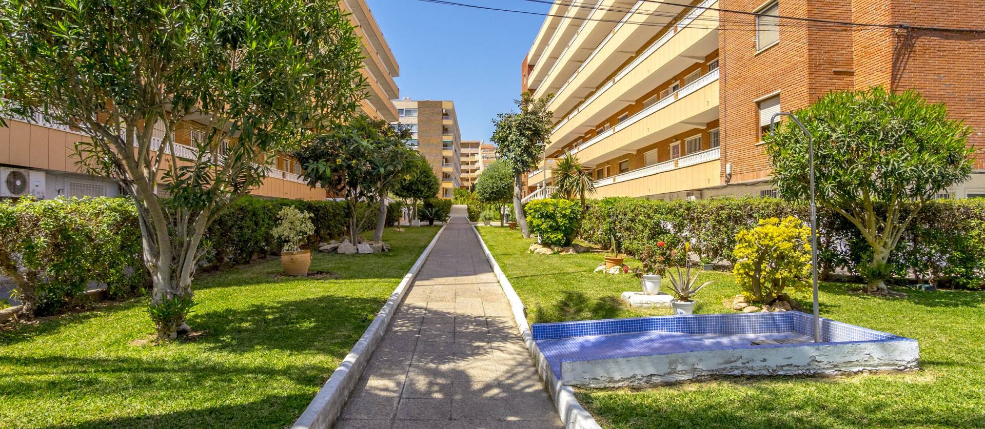 Sale - Apartment - Punta Prima