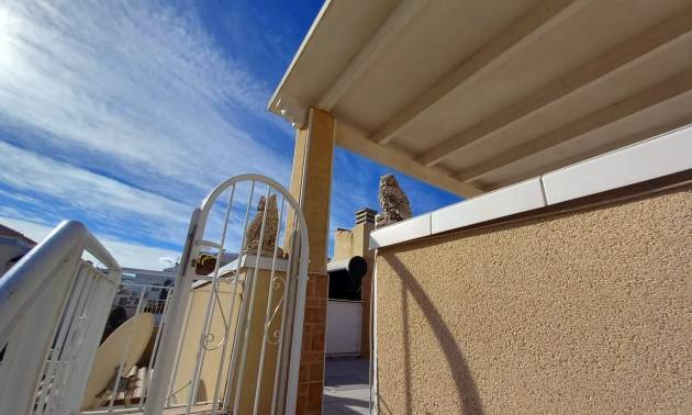 Revente - Terraced house - Torrevieja