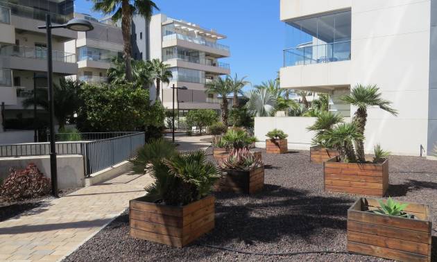 Revente - Appartement - Orihuela Costa - Villamartín