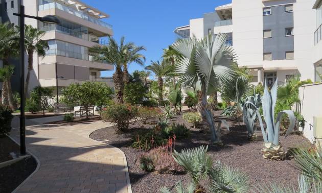 Bestaande woningen - Appartment - Orihuela Costa - Villamartín