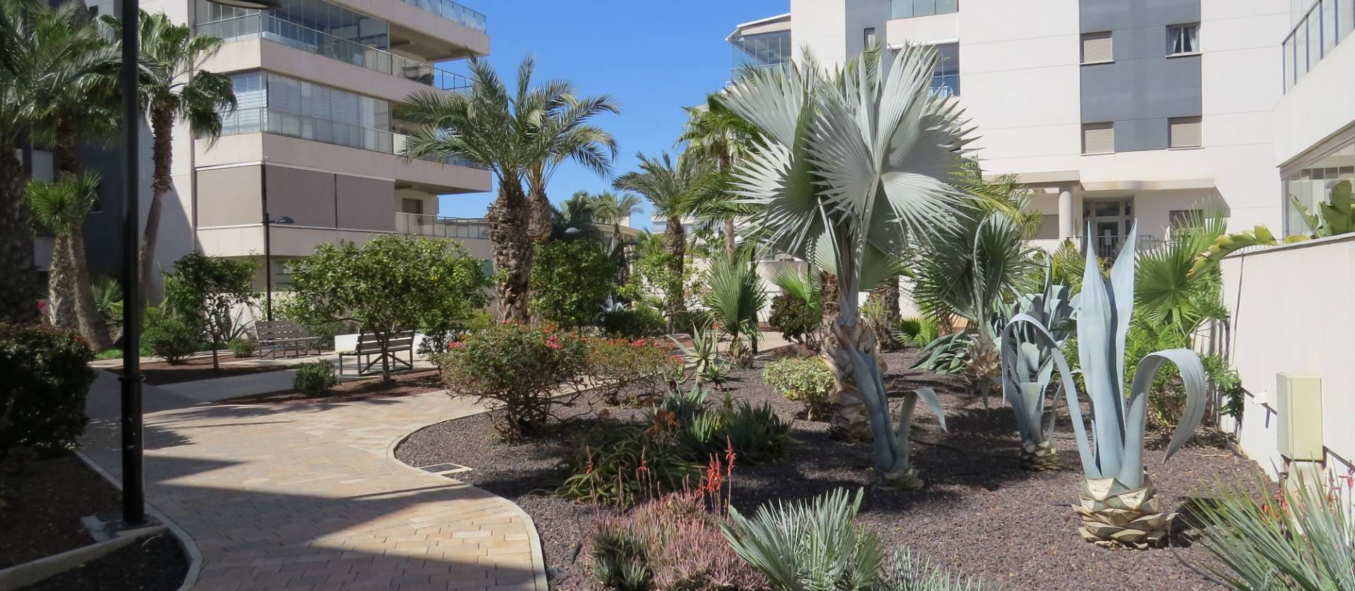 Bestaande woningen - Appartement / flat - Orihuela Costa - Villamartín